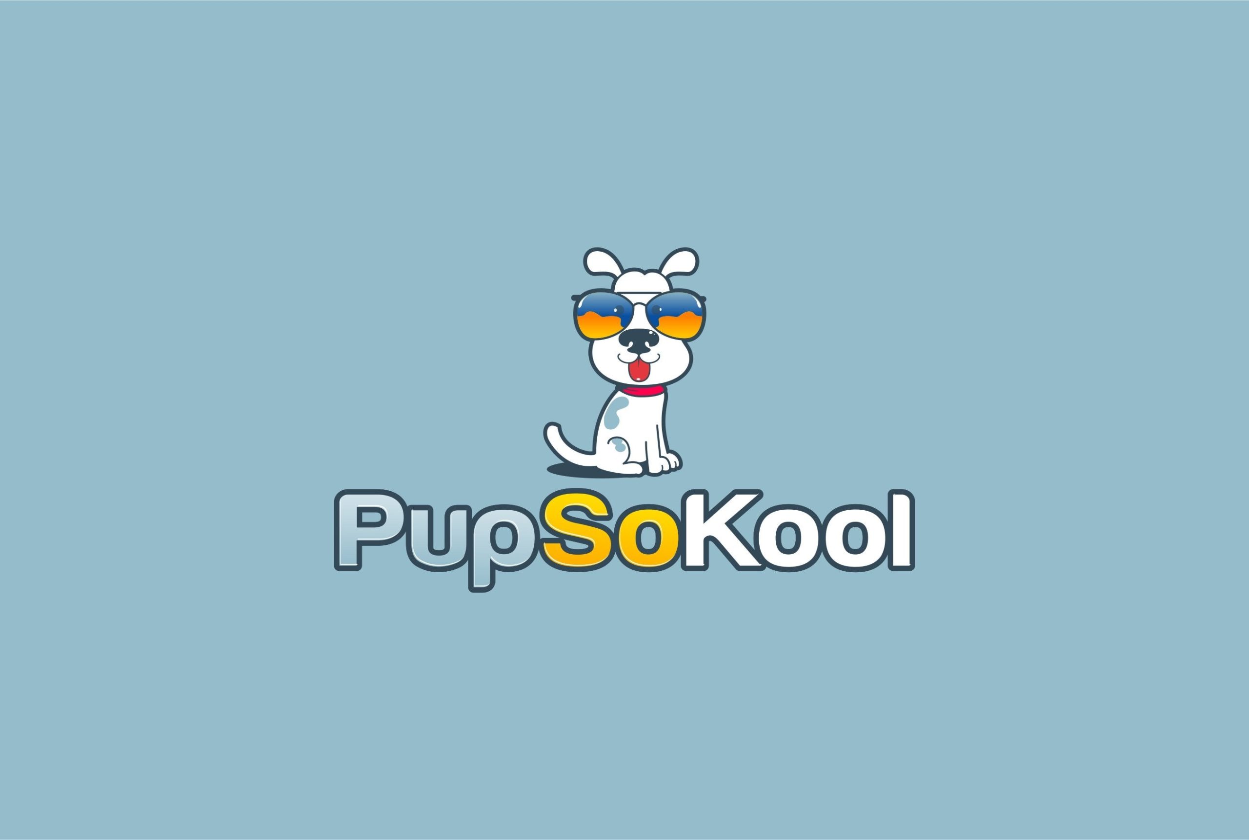 Pet supplies and products: The most high-quality products for your pet