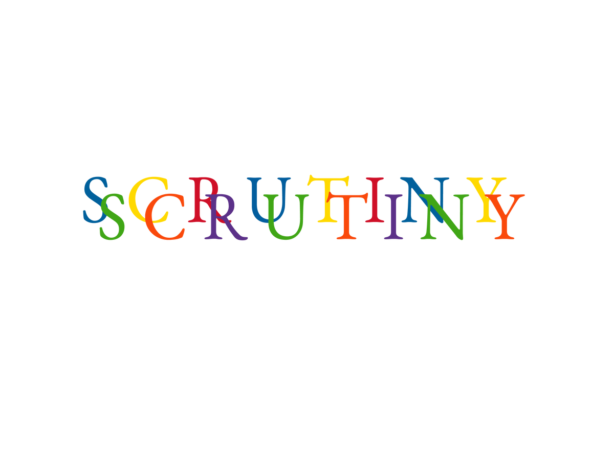 The Scrutiny