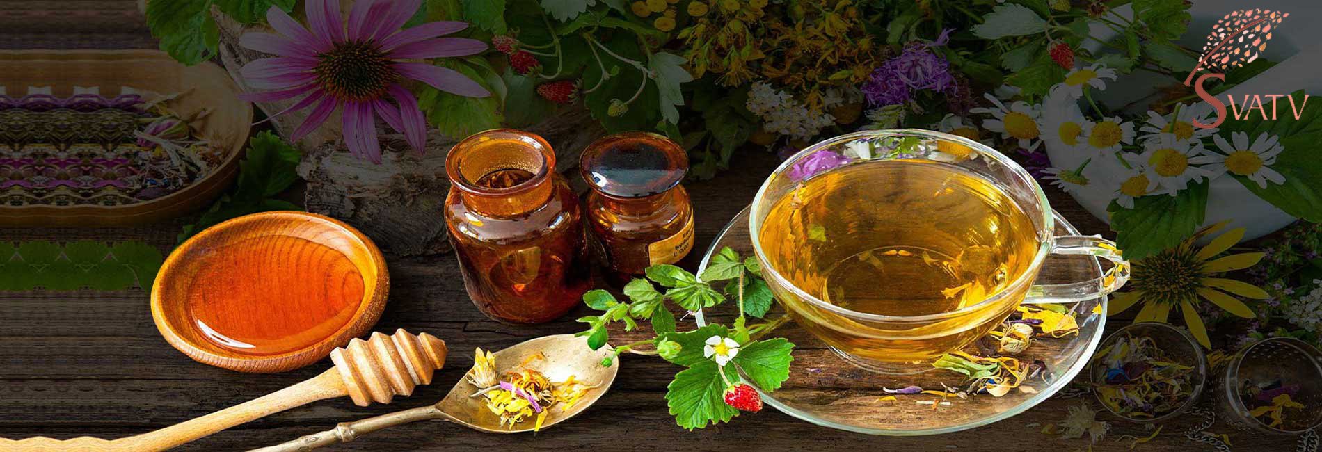 SVATV - USDA , EU Approved Organic Herbal Products From India