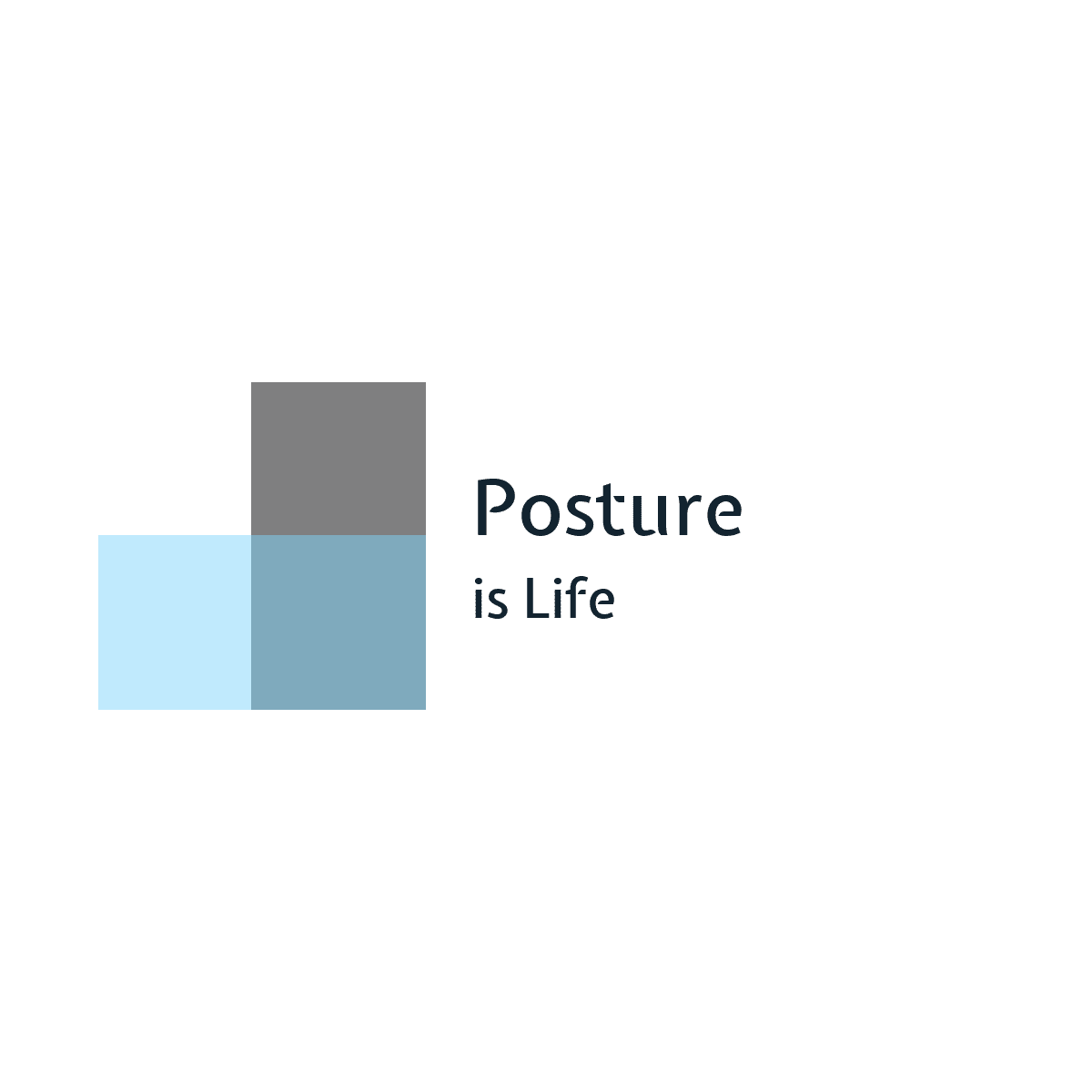 Posture is Life™ - No1 in Comfort and Posture correction.